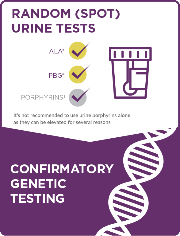 Testing For Acute Hepatic Porphyria Porphyria Diagnosis