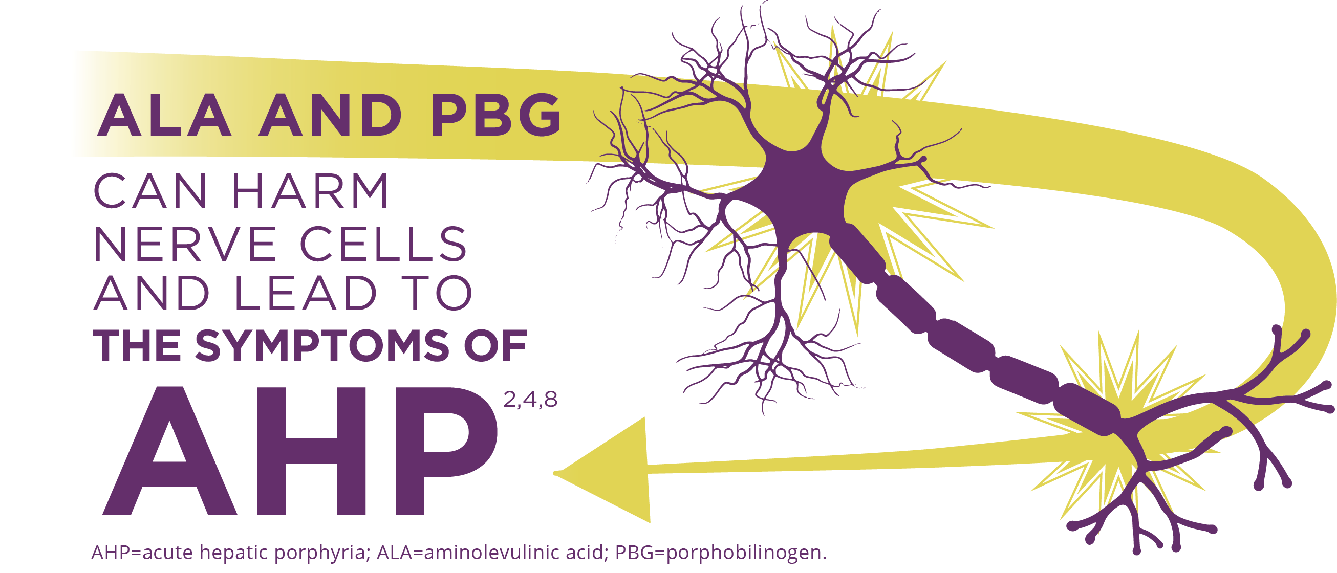 ALA and PBG can harm nerve cells and lead to the symptoms of AHP