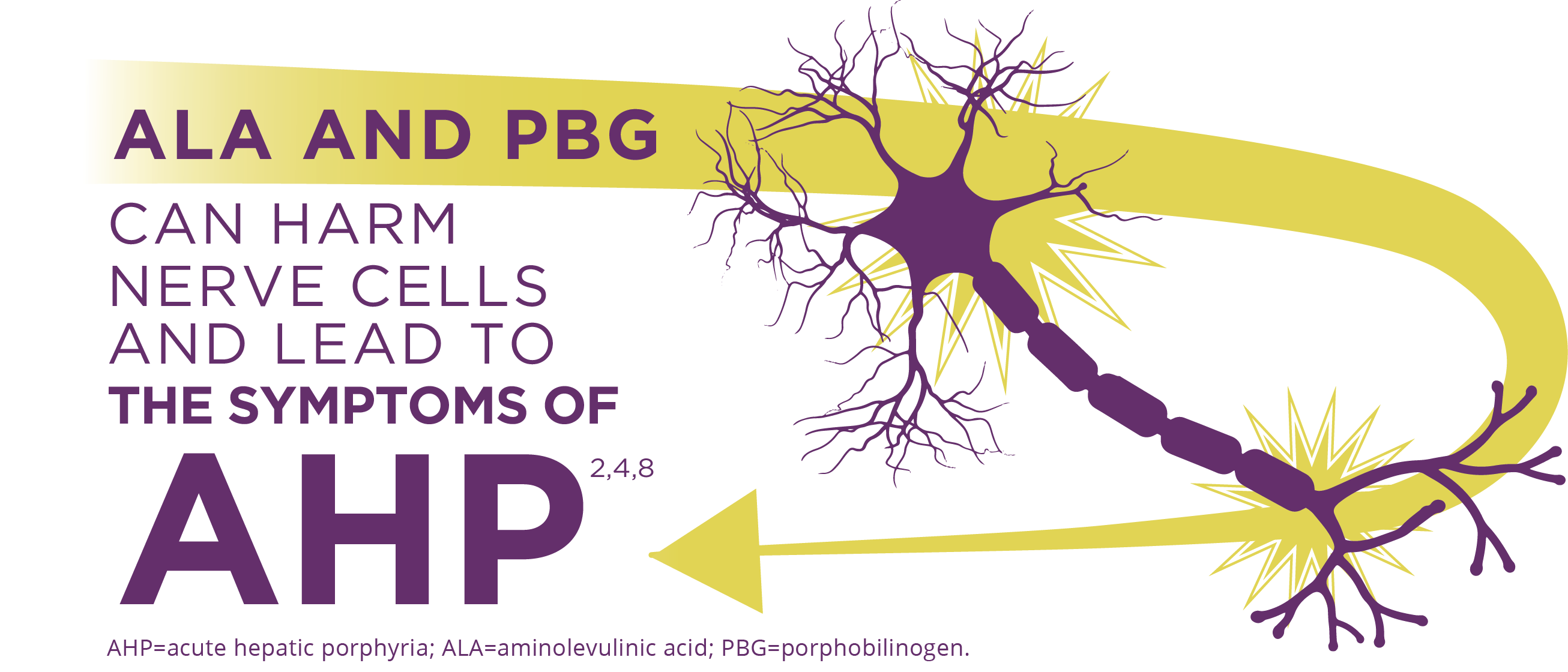 Aminolevulinic acid (ALA) and porphobilinogen (PBG) can harm nerve cells and lead to the symptoms of AHP.