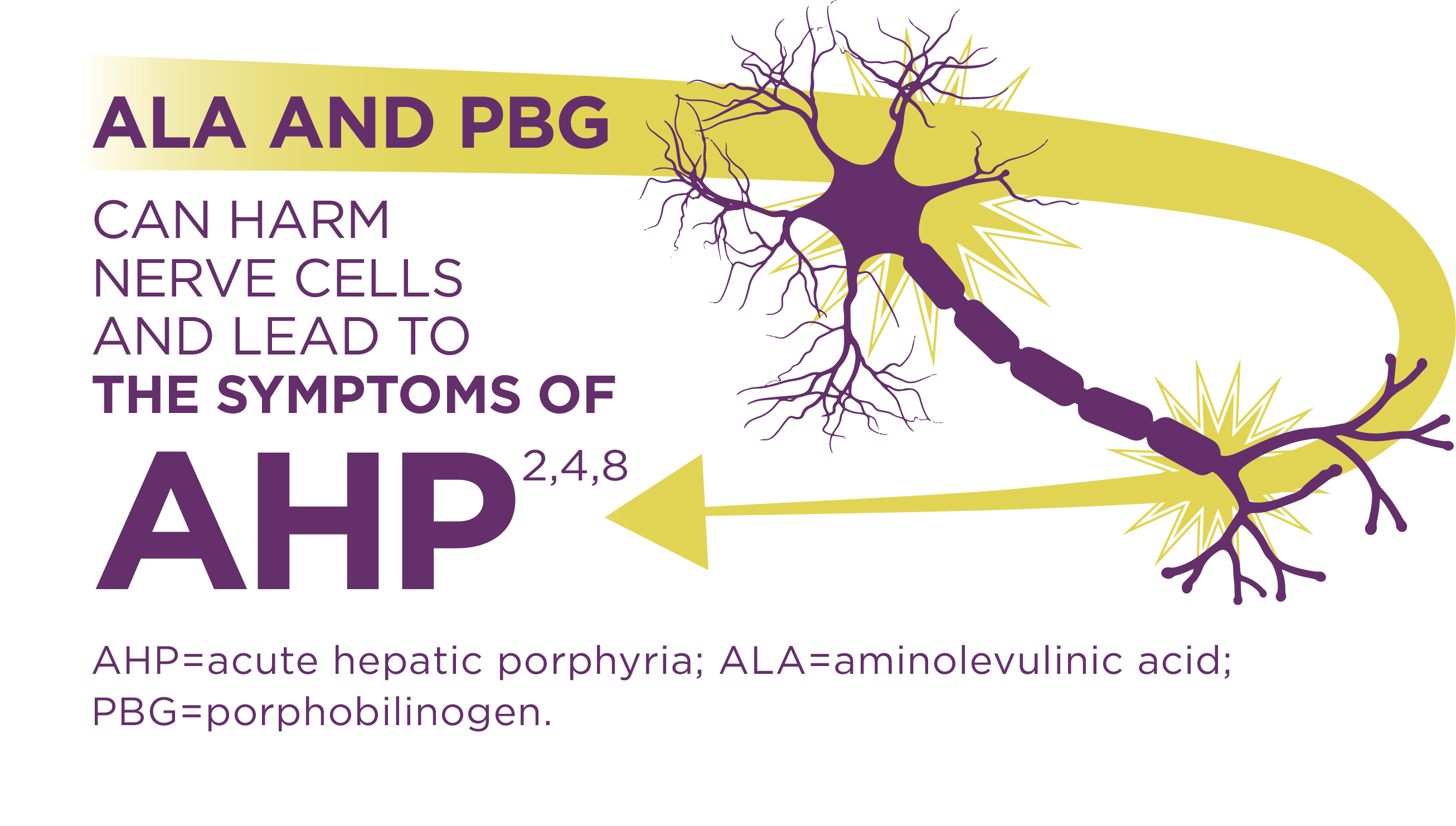 Aminolevulinic acid (ALA) and porphobilinogen (PBG) can harm nerve cells and lead to the symptoms of AHP.
