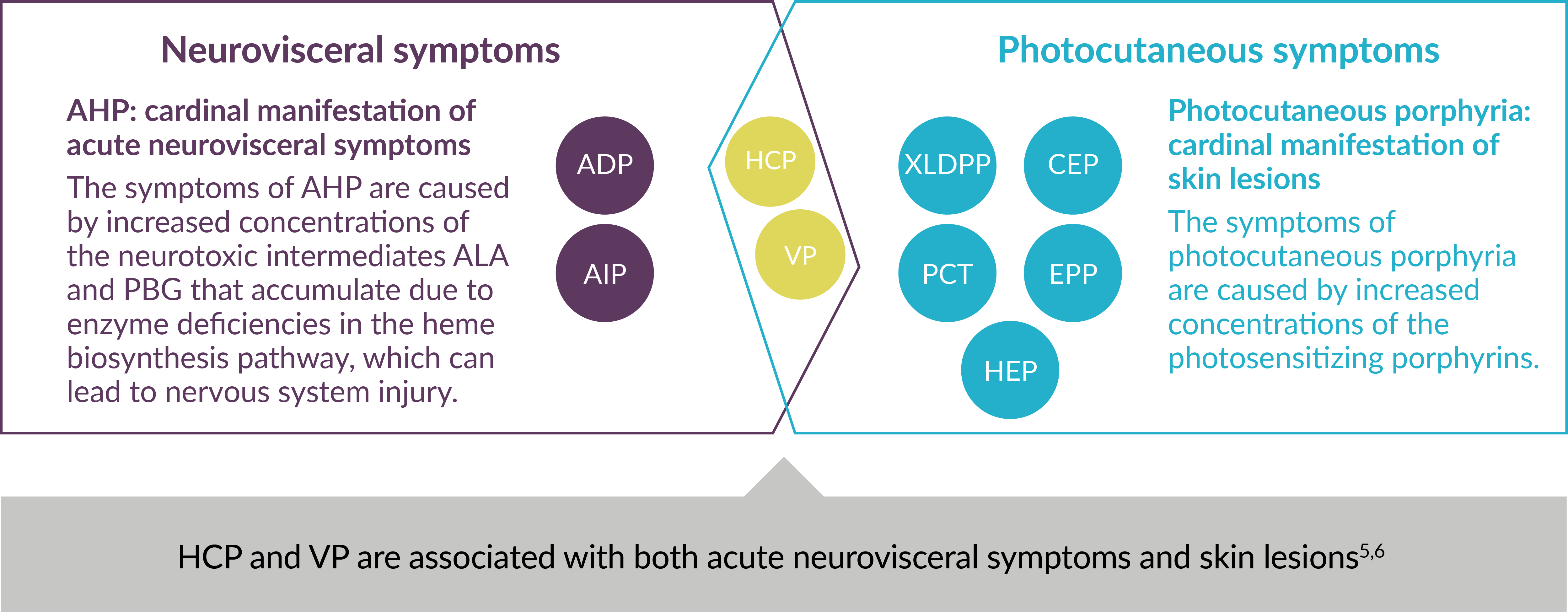 Classification of the types of porphyria