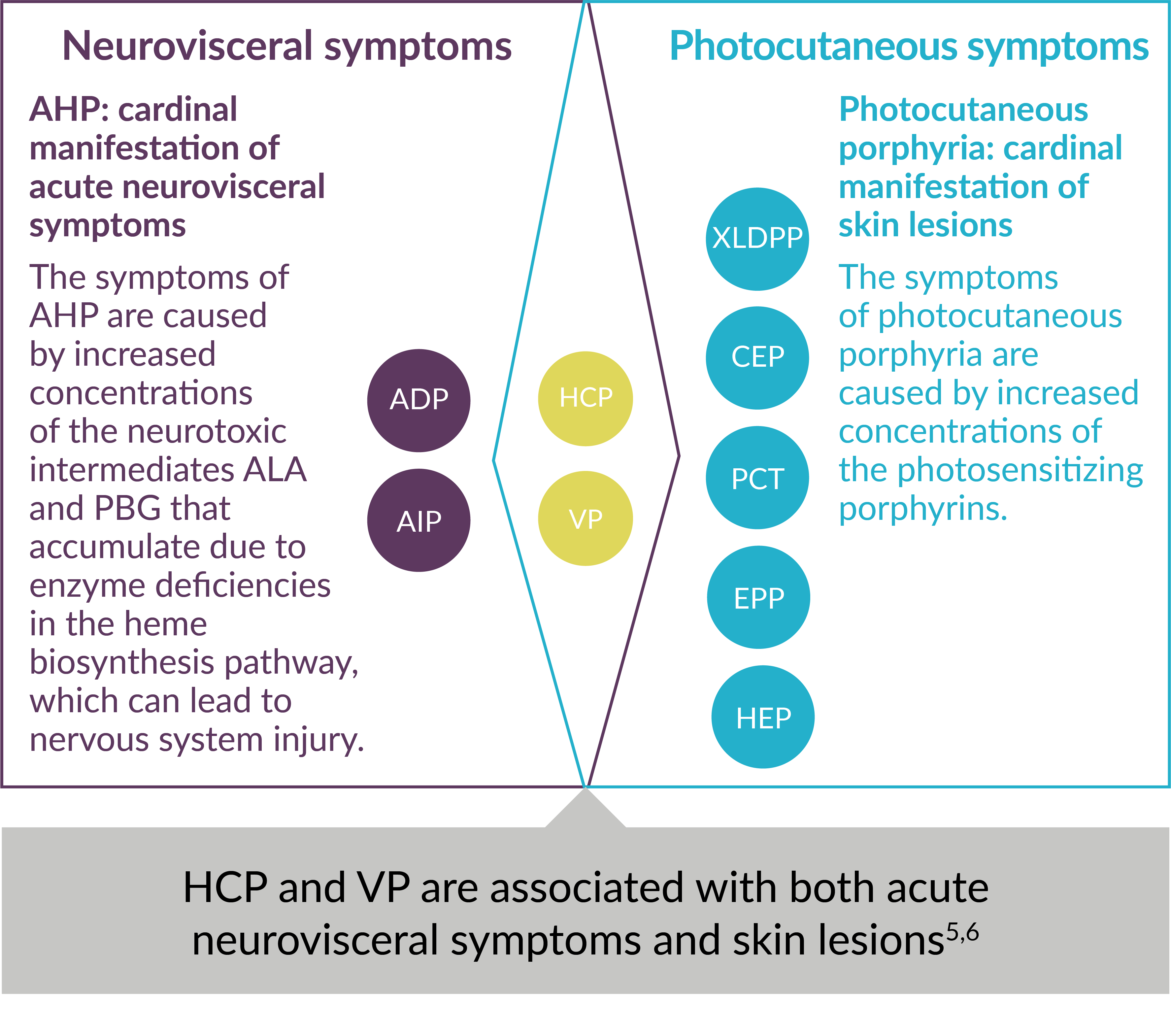 Classification of the types of porphyria