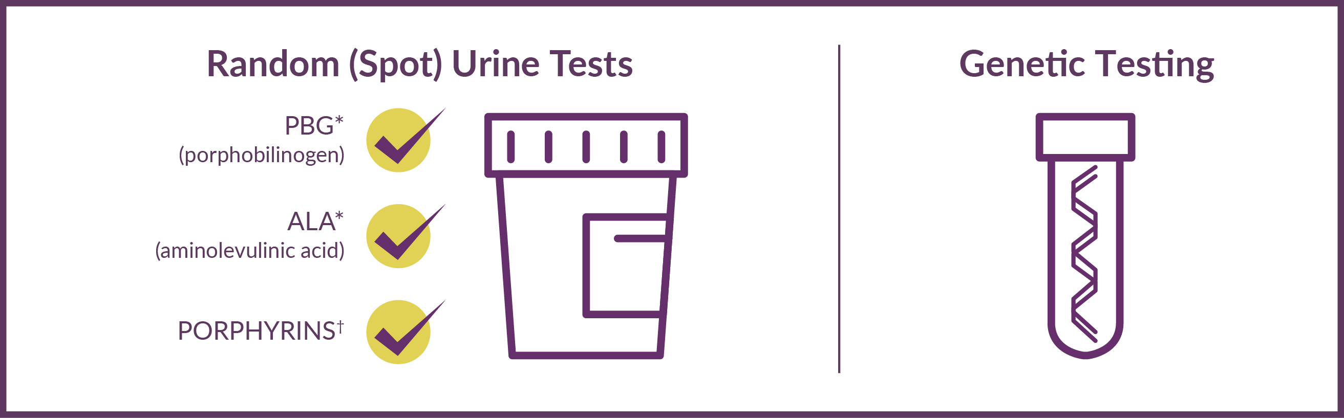 Random (spot) urine test and genetic confirmation